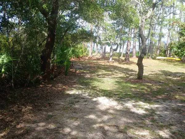 Experienced Landscaping Contractor