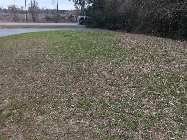 Trusted Landscape Contractor