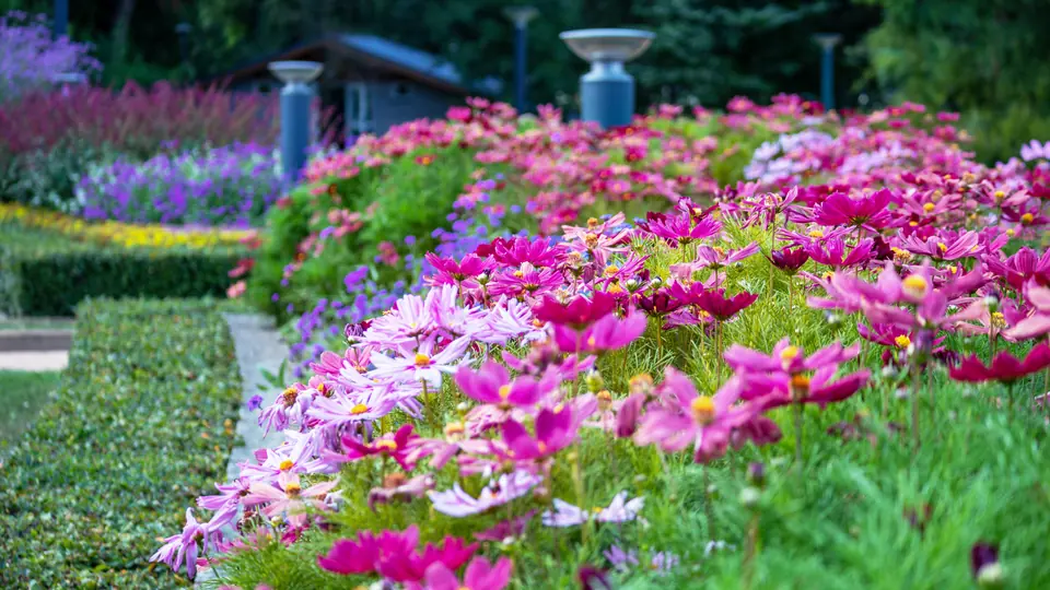 Flower bed maintenance on a residential property in Crawfordville, FL - trimmed plants, defined borders, and cleared debris
