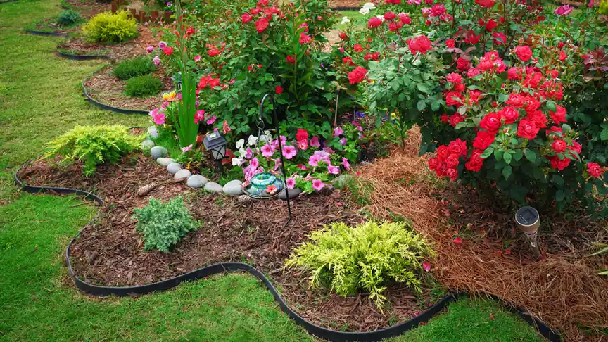 Healthy soil in a well-maintained flower bed in North Florida