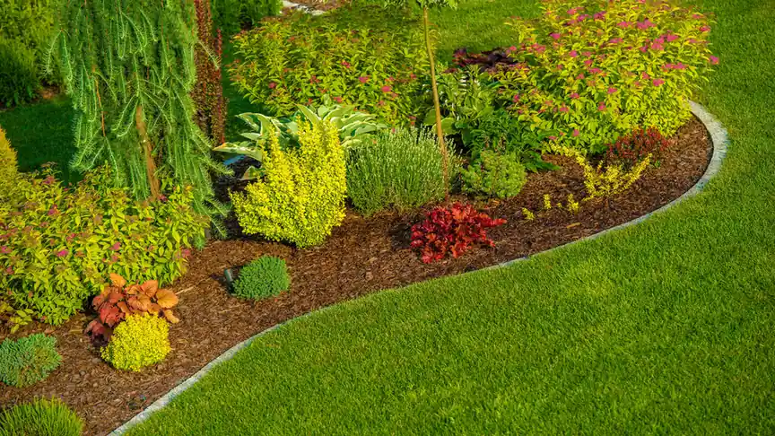 Professional flower bed maintenance in Crawfordville, FL