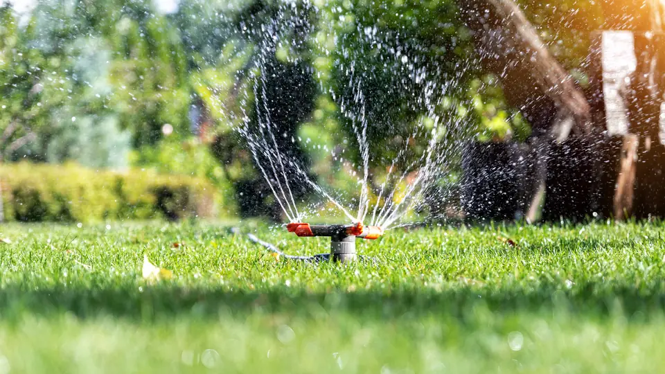 Irrigation system repair preventing water wastage in North Florida