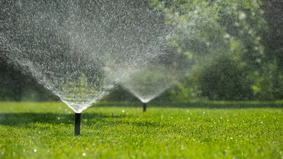 Landscaping guides from Always True Landscaping