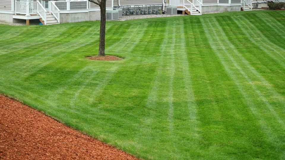 Fresh lawn mowing lines in Crawfordville, FL