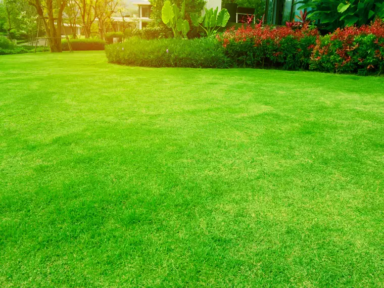 Lawn mowing in progress during the growing season in North Florida - regular maintenance keeps the lawn at the correct height