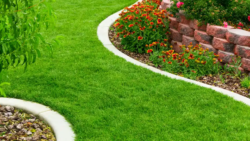 Landscaping guides from Always True Landscaping