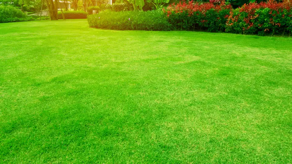 Professional lawn mowing in Crawfordville, FL