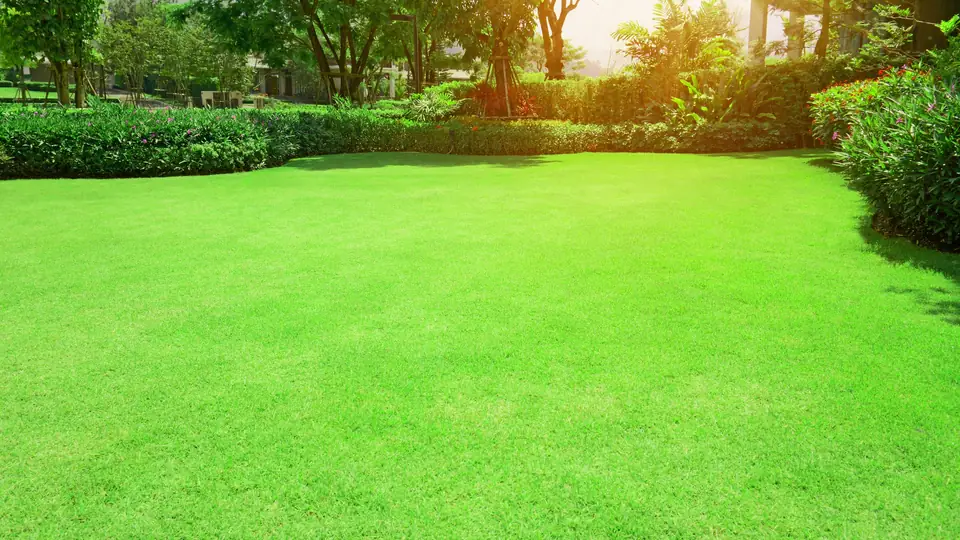 When to schedule lawn seeding service in North Florida