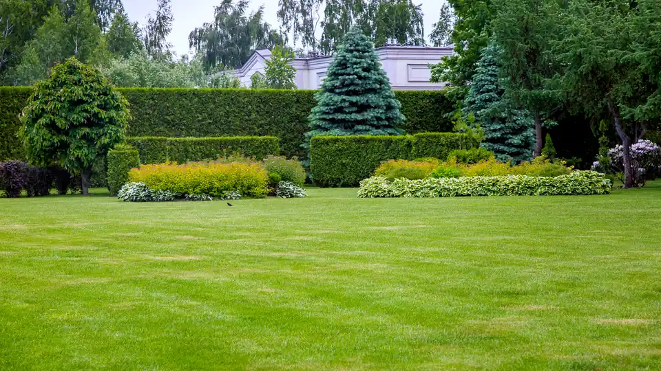 Landscaping guides from Always True Landscaping