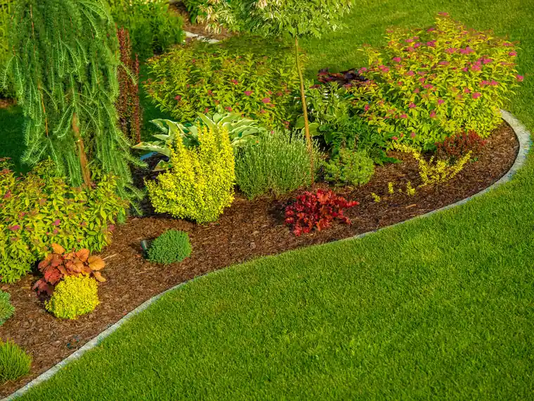 Clean mulch bed edges for a Crawfordville, FL landscape