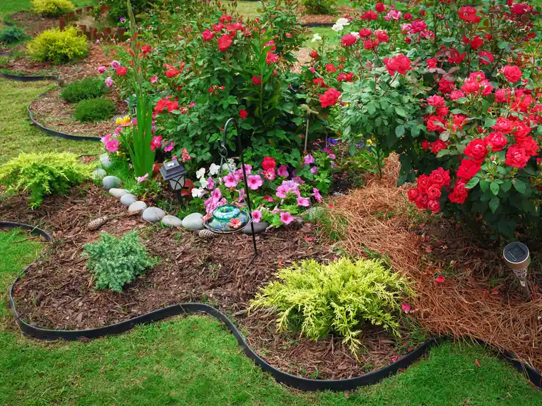 Mulch applied at the correct depth around a tree base - keeping mulch away from the trunk to prevent rot