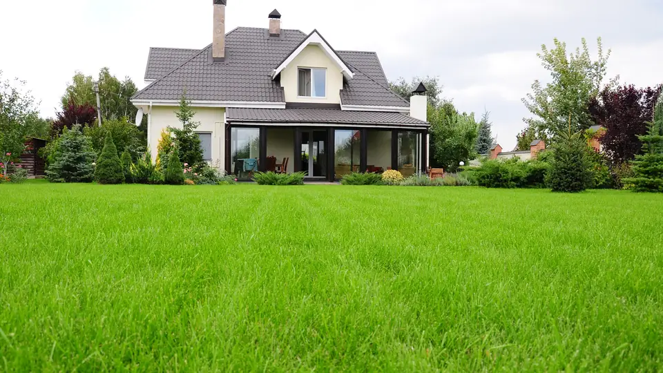 Different grass varieties for sod installation in North Florida