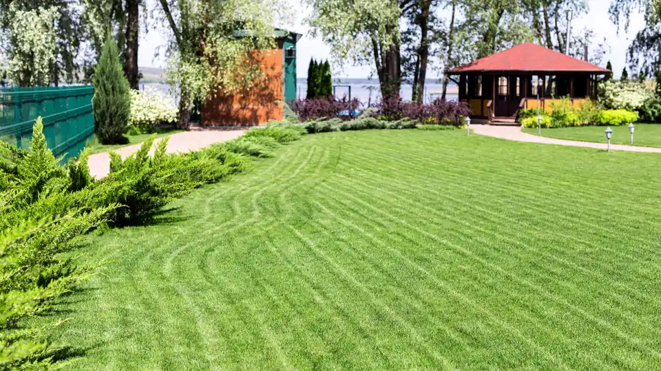 Professional sod installation in Crawfordville, FL